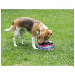 Road Refresher Grijs -Hond winkel LGRR 3