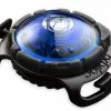 Orbiloc Safety Light Dog Dual Blauw -Hond winkel Orbiloc Dog Dual Blue exposed HR