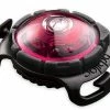 Orbiloc Safety Light Dog Dual Roze -Hond winkel Orbiloc Dog Dual Pink exposed HR