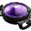Orbiloc Safety Light Dog Dual Paars -Hond winkel Orbiloc Dog Dual Purple exposed HR