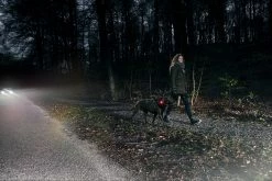 Orbiloc Safety Light Dog Dual Amber 8 Orbiloc Safety Light Dog Dual Amber -Hond winkel Orbiloc dog dual 5km HR 1