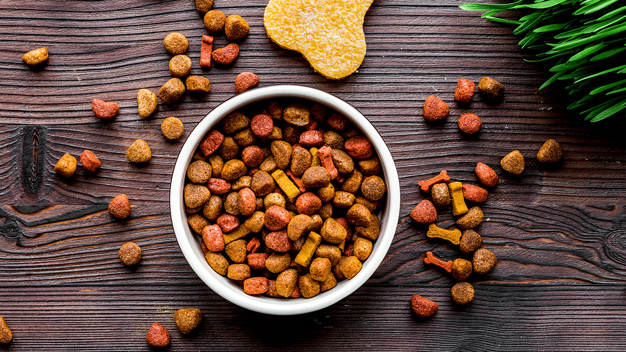 Hond winkel 2 Hond winkel -Hond winkel Pet Food Trends Main Banner