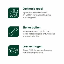 Premium Care Original Puppy Medium Chicken & Rice 12 Kg -Hond winkel Puppy Medium iconen