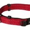 Rogz Beltz Utility Halsband Safety Red 2 Rogz Beltz Utility Halsband Safety Red -Hond winkel RHBS16CDET0