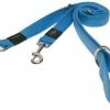 Rogz Beltz Utility Hondenlijn Multi Turquoise -Hond winkel RHLM14FDET0