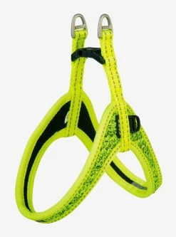 Rogz Beltz Utility Hondentuig Fast Fit Dayglo 10 Rogz Beltz Utility Hondentuig Fast Fit Dayglo -Hond winkel RSJQ36HDET0