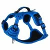 Rogz Hondentuig Explore Blue -Hond winkel RSJX14B DET0
