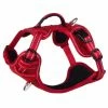 Rogz Hondentuig Explore Red 1 Rogz Hondentuig Explore Red -Hond winkel RSJX14C DET0