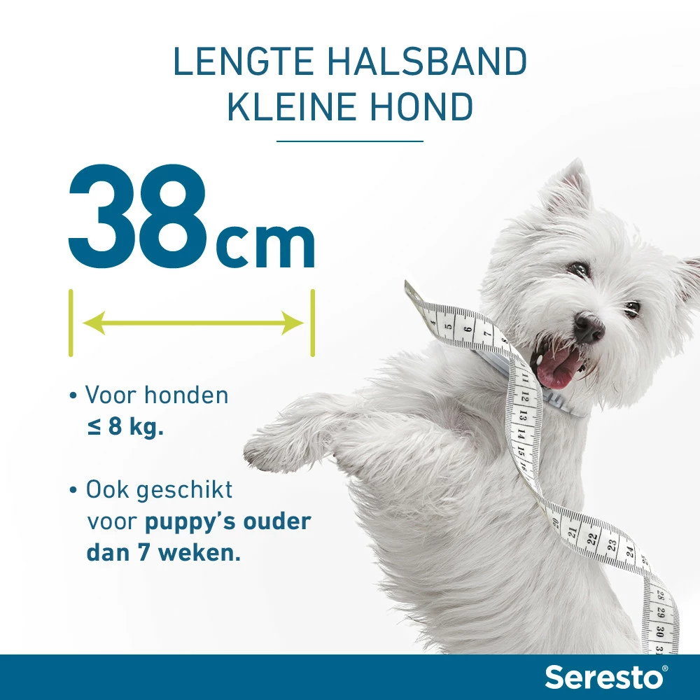 Seresto Band Voor Kleine Honden 4 Seresto Band Voor Kleine Honden - Afbeelding 2