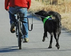 Altranet Fietsbeugel Springer -Hond winkel Springer 1
