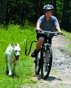 Altranet Fietsbeugel Springer -Hond winkel Springer 5