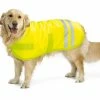 Beeztees Reflecterende Hondenjas -Hond winkel beeztees teddy reflecterend