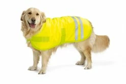 Beeztees Reflecterende Hondenjas