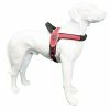 Tre Ponti Hondentuig Primo Reflective Rood 1 Tre Ponti Hondentuig Primo Reflective Rood -Hond winkel primo red reflectivekopie