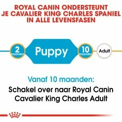 Royal Canin Hondenvoer Cavalier King Charles Puppy 1,5 Kg -Hond winkel royal canin cavalier king charles junior pup hond cavalier king charles hero image 9