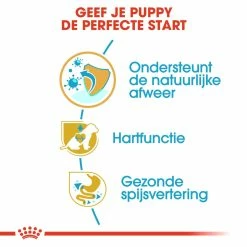 Royal Canin Hondenvoer Cavalier King Charles Puppy 1,5 Kg -Hond winkel royal canin cavalier king charles junior pup hond cavalier king charles hero usp
