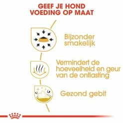 Royal Canin Hondenvoer Chihuahua Adult 1,5 Kg -Hond winkel royal canin chihuahua adult volwassen hond chihuahua vanaf 8 maanden hero usp