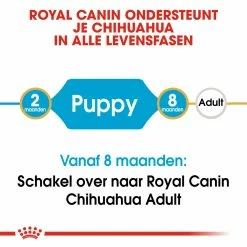 Royal Canin Hondenvoer Chihuahua Puppy 1,5 Kg 9 Royal Canin Hondenvoer Chihuahua Puppy 1,5 Kg -Hond winkel royal canin chihuahua junior pup hond chihuahua hero image 9