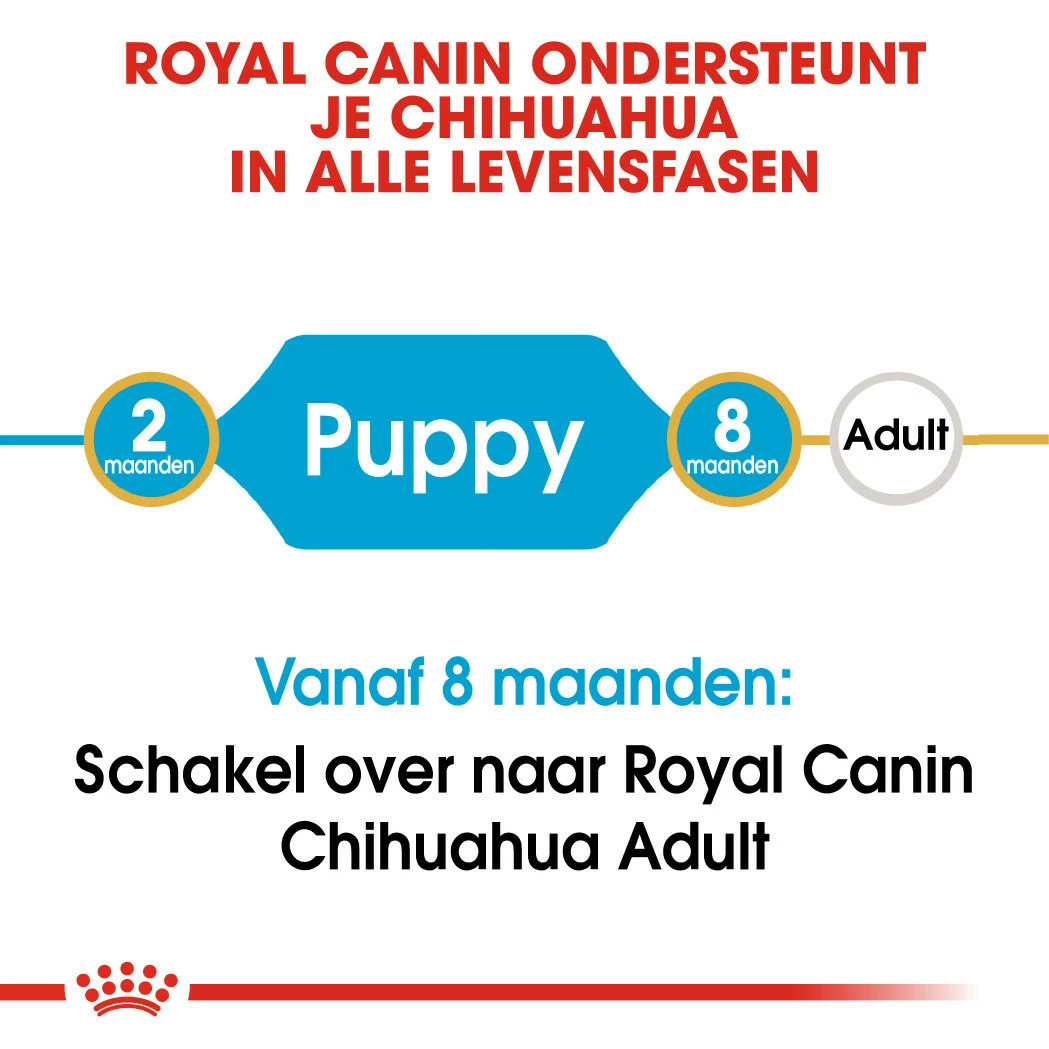 Royal Canin Hondenvoer Chihuahua Puppy 1,5 Kg 6 Royal Canin Hondenvoer Chihuahua Puppy 1,5 Kg - Afbeelding 4