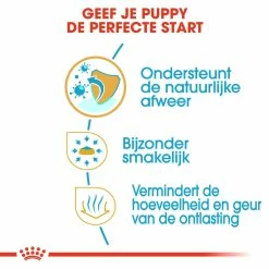 Royal Canin Hondenvoer Chihuahua Puppy 1,5 Kg 8 Royal Canin Hondenvoer Chihuahua Puppy 1,5 Kg -Hond winkel royal canin chihuahua junior pup hond chihuahua hero usp