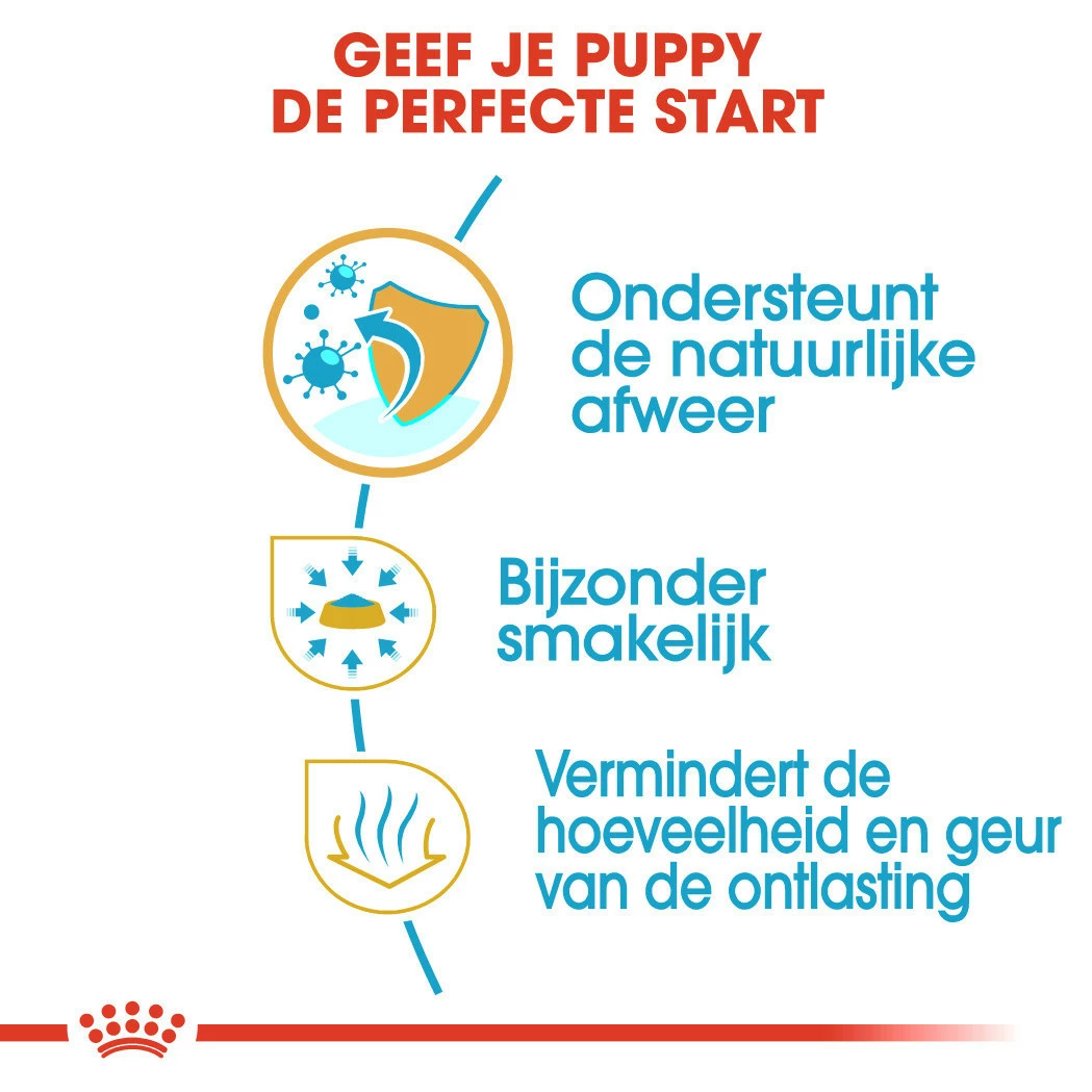 Royal Canin Hondenvoer Chihuahua Puppy 1,5 Kg 5 Royal Canin Hondenvoer Chihuahua Puppy 1,5 Kg - Afbeelding 3