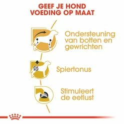 Royal Canin Hondenvoer Dachs-hund Adult 12 X 85 Gr 9 Royal Canin Hondenvoer Dachs-hund Adult 12 X 85 Gr -Hond winkel royal canin dachshund adult natvoer volwassen hond teckel vanaf 10 maanden hero usp