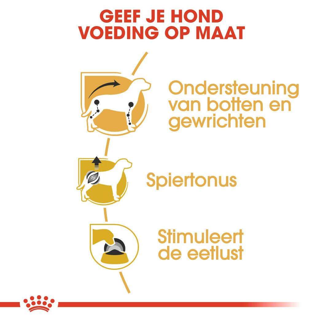 Royal Canin Hondenvoer Dachs-hund Adult 12 X 85 Gr 6 Royal Canin Hondenvoer Dachs-hund Adult 12 X 85 Gr - Afbeelding 4