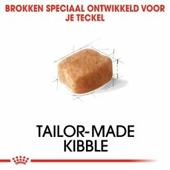 Royal Canin Hondenvoer Dachshund Adult 1,5 Kg -Hond winkel royal canin dachshund adult volwassen hond teckel vanaf 10 maanden hero kibble