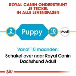 Royal Canin Hondenvoer Dachshund Puppy 1,5 Kg -Hond winkel royal canin dachshund junior pup hond teckel hero image 9