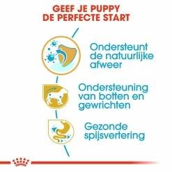 Royal Canin Hondenvoer Dachshund Puppy 1,5 Kg -Hond winkel royal canin dachshund junior pup hond teckel hero usp