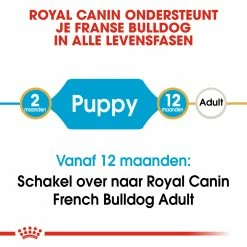 Royal Canin Hondenvoer French Bulldog Puppy 10 Kg -Hond winkel royal canin french bulldog junior pup hond franse bulldog hero image 9