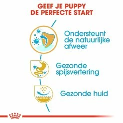 Royal Canin Hondenvoer French Bulldog Puppy 3 Kg -Hond winkel royal canin french bulldog junior pup hond franse bulldog hero usp 1