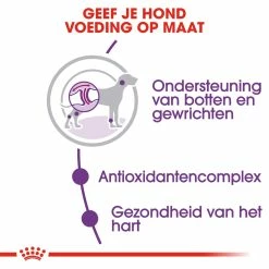 Royal Canin Hondenvoer Giant Adult 4 Kg -Hond winkel royal canin giant adult volwassen hond zeer grote hondenrassen hero usp