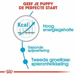 Royal Canin Hondenvoer Giant Junior 3,5 Kg -Hond winkel royal canin giant junior active pup hond zeer grote hondenrassen hero usp
