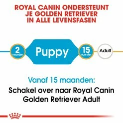Royal Canin Hondenvoer Golden Retriever Puppy 12 Kg -Hond winkel royal canin golden retriever junior pup hond golden retriever hero image 9