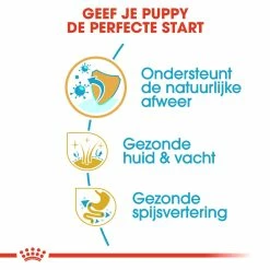 Royal Canin Hondenvoer Golden Retriever Puppy 12 Kg -Hond winkel royal canin golden retriever junior pup hond golden retriever hero usp
