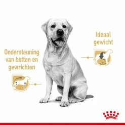 Royal Canin Hondenvoer Labrador Adult 10 X 140 Gr 9 Royal Canin Hondenvoer Labrador Adult 10 X 140 Gr -Hond winkel royal canin labrador retriever adult natvoer volwassen hond labrador vanaf 15 maanden hero usp