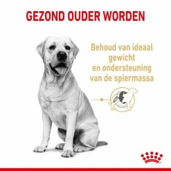Royal Canin Hondenvoer Labrador Retriever Adult 5+ 3 Kg -Hond winkel royal canin labrador retriever adult volwassen hond labrador retriever vanaf 5 jaar hero usp