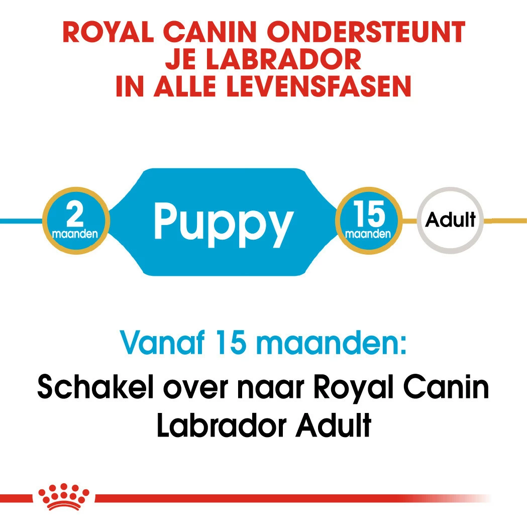 Royal Canin Hondenvoer Labrador Retriever Puppy 12 Kg 6 Royal Canin Hondenvoer Labrador Retriever Puppy 12 Kg - Afbeelding 4