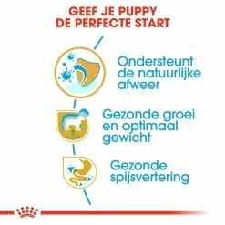 Royal Canin Hondenvoer Labrador Retriever Puppy 12 Kg 8 Royal Canin Hondenvoer Labrador Retriever Puppy 12 Kg -Hond winkel royal canin labrador retriever junior pup hond labrador retriever hero usp