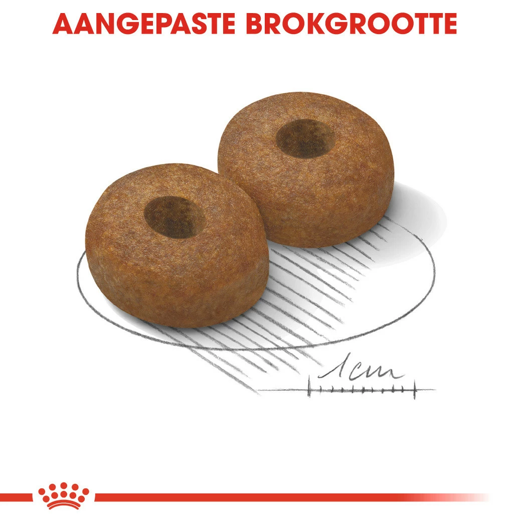 Royal Canin Hondenvoer Maxi Ageing 8+ 15 Kg 4 Royal Canin Hondenvoer Maxi Ageing 8+ 15 Kg - Afbeelding 2