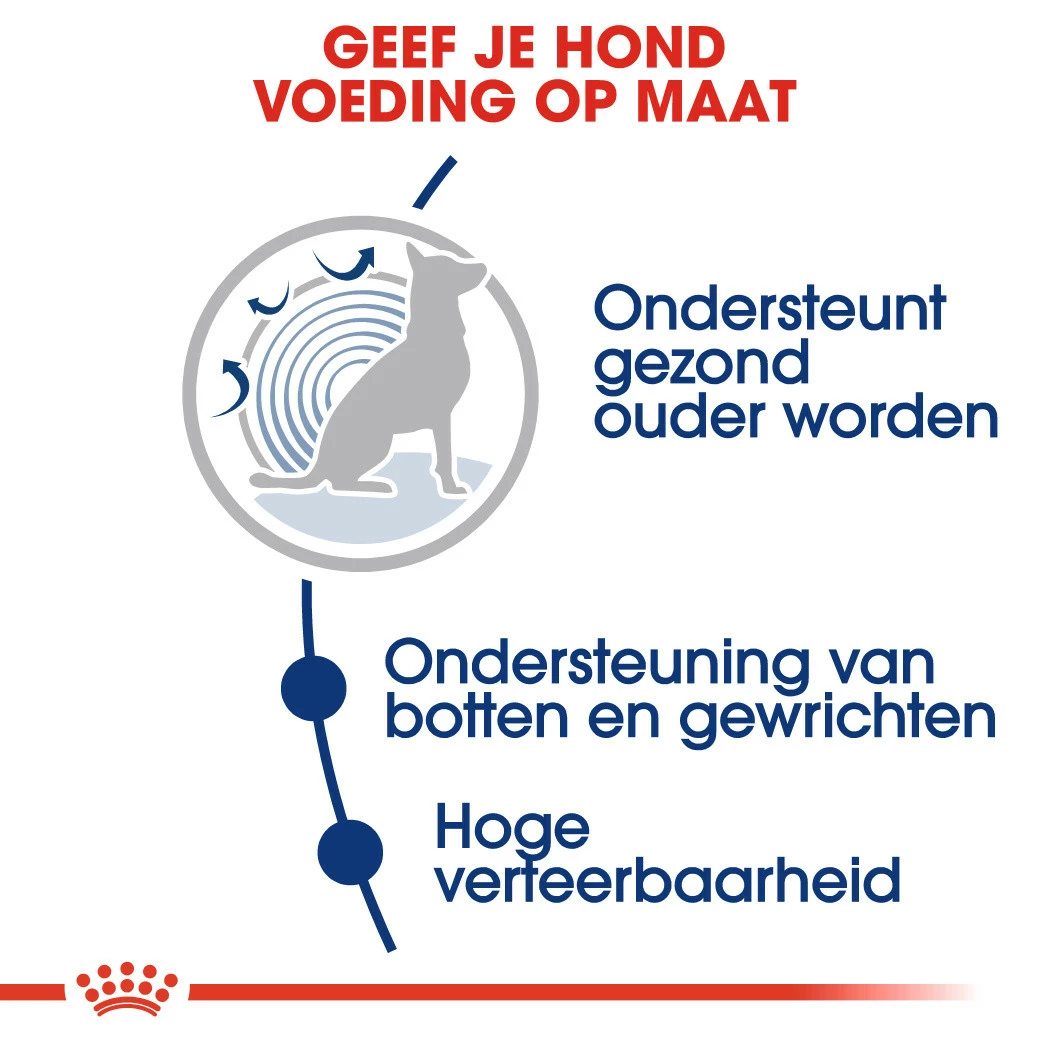 Royal Canin Hondenvoer Maxi Ageing 8+ 15 Kg 5 Royal Canin Hondenvoer Maxi Ageing 8+ 15 Kg - Afbeelding 3
