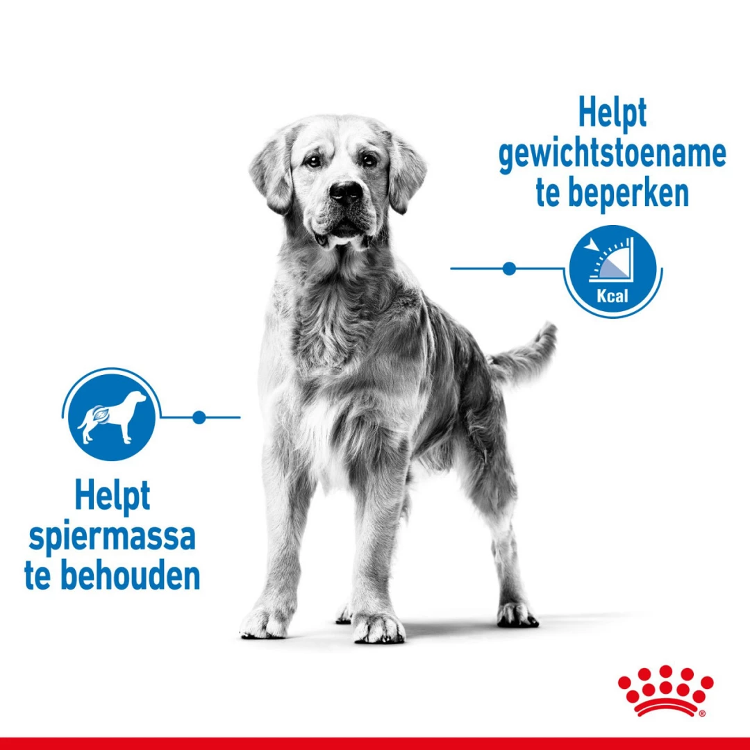 Royal Canin Hondenvoer Light Weight Care Maxi 12 Kg 5 Royal Canin Hondenvoer Light Weight Care Maxi 12 Kg - Afbeelding 3