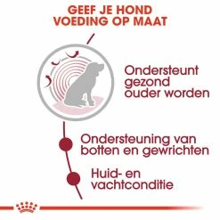 Royal Canin Hondenvoer Medium Ageing 10+ 10 X 140 Gr -Hond winkel royal canin medium ageing 10plus natvoer senior hond oudere hond vanaf 10 jaar hero usp