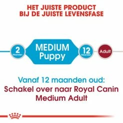 Royal Canin Hondenvoer Medium Puppy 10 Kg -Hond winkel royal canin medium puppy pup hond middelgrote hondenrassen hero image 8