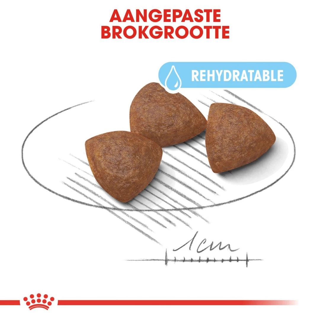 Royal Canin Hondenvoer Medium Starter 4 Kg 4 Royal Canin Hondenvoer Medium Starter 4 Kg - Afbeelding 2