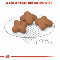 Royal Canin Hondenvoer Mini Adult 8+ 2 Kg -Hond winkel royal canin mini adult 8plus volwassen hond kleine hondenrassen vanaf 8 jaar hero kibble