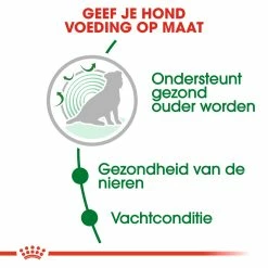 Royal Canin Hondenvoer Mini Ageing 12+ 3,5 Kg 8 Royal Canin Hondenvoer Mini Ageing 12+ 3,5 Kg -Hond winkel royal canin mini ageing 12plus senior hond oudere hond vanaf 12 jaar hero usp