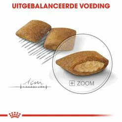 Royal Canin Hondenvoer Exigent Mini 3 Kg -Hond winkel royal canin mini exigent volwassen hond kieskeurige honden hero kibble