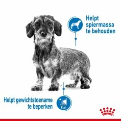Royal Canin Hondenvoer Light Weight Care Mini 8 Kg -Hond winkel royal canin mini light weight care volwassen hond gezond gewicht kleine hondenrassen hero image 8